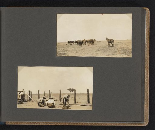 Workers making a fence around a field with horses, in South Africa