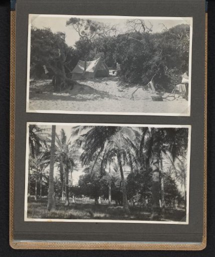 Tent in a forest area, in South Africa