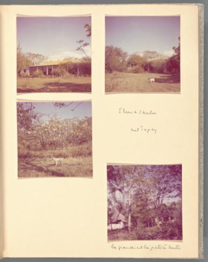 Four views of a house and its surroundings in Shewasaulu, two of which with the dog Popsy