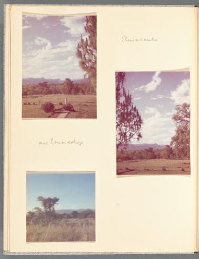 Three views of Shewasaulu with Lemondokop
