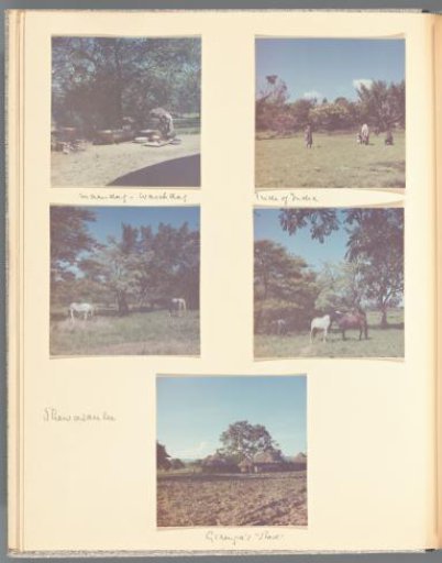View of a woman washing, view of a family in a garden, two views of horses, and a view of a village in South Africa
