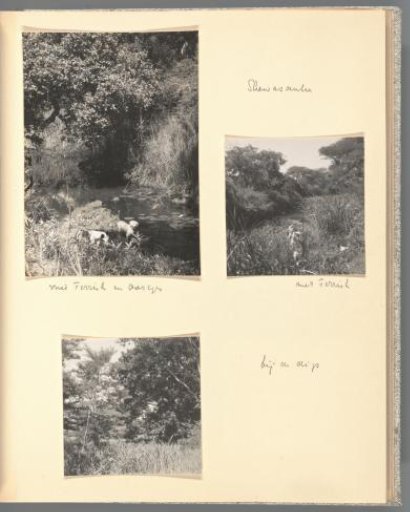 Two views at a bank of Shewasaulu with dogs Ferrish and Oortjes, and view of a landscape in Shewasaulu
