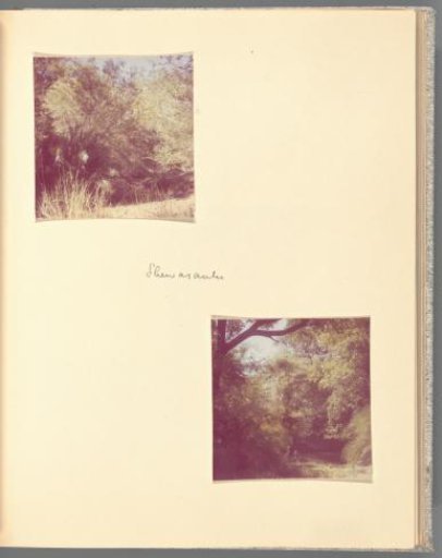 Two views of the landscape of Shewasaulu