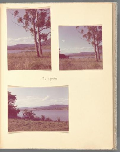 Three views of a lake in South Africa