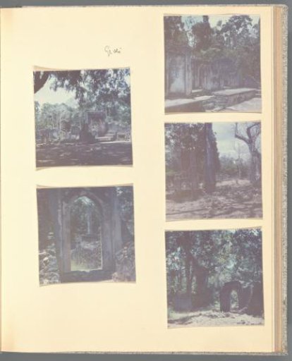 Five views of the ruins of Gedi, Kenya