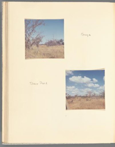 Two views of Tsavo National Park, Kenya