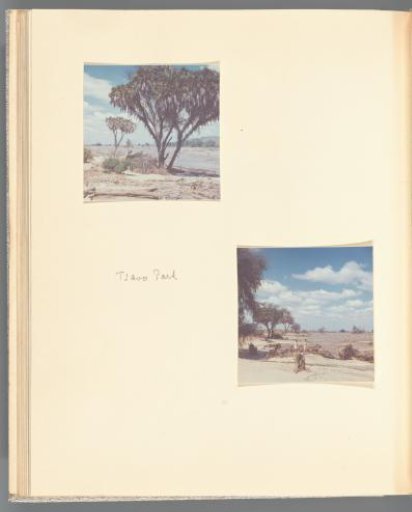 Two views of the Tsavo National Park in Kenya