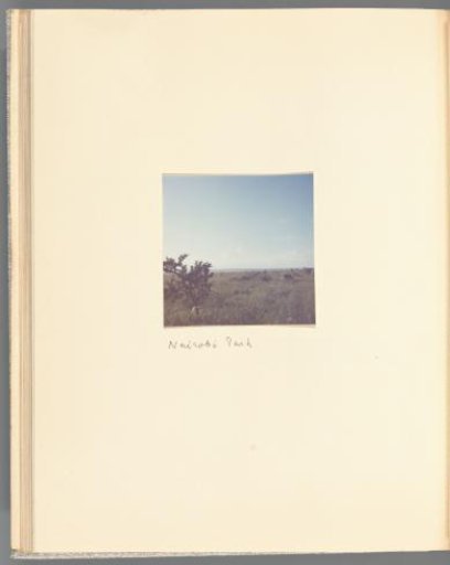 View of Nairobi National Park, Kenya