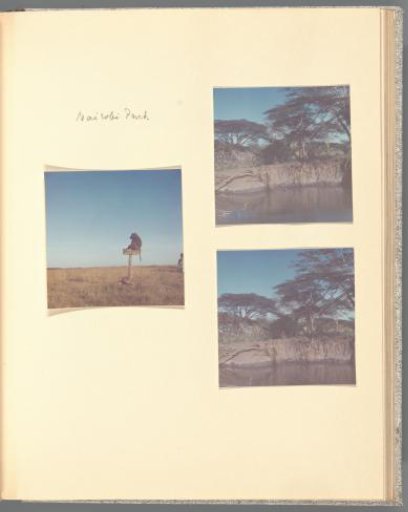 Three views of Nairobi National Park, Kenya, one with a baboon on a wooden board and two with a riverbank