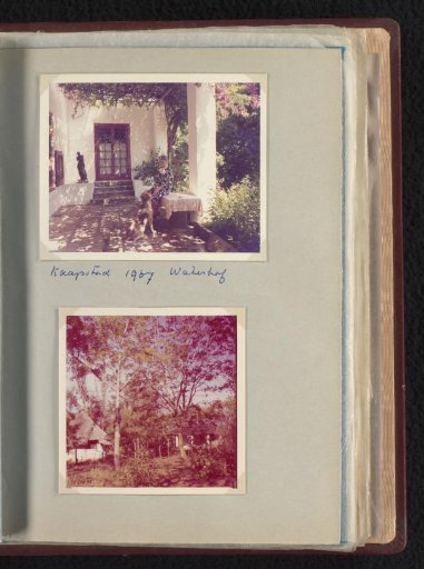 Unknown woman with a dog at the vineyard Waterhof in Cape Town, and a village view in South Africa