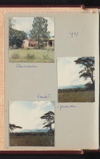 Landscape and residence of Willem van den Berg in Shewasaulu, South Africa