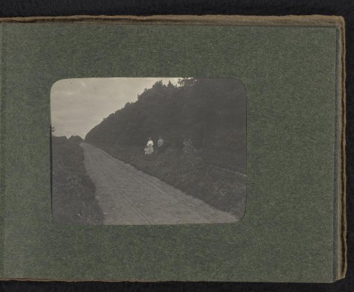 Three members of the Van den Berg family with a dog, along a country road on the heath in Huis ter Heide