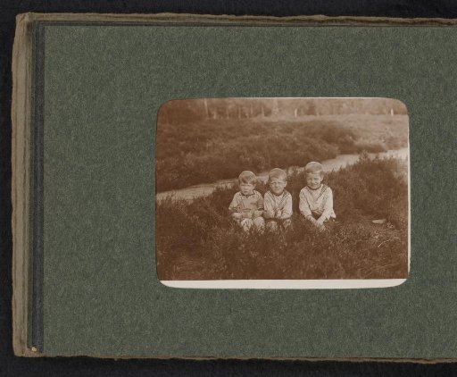 Three children of the Van den Berg family on the heath at Huis ter Heide