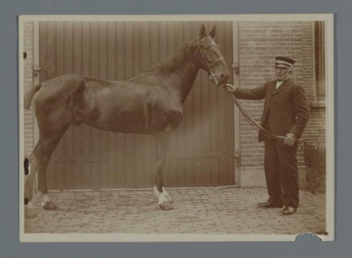 The horse Bobbie with a man on a lead in front of the barn