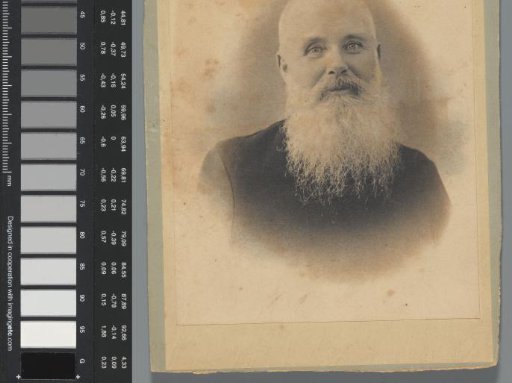 Portrait of Karel Fredrik Holle with a beard