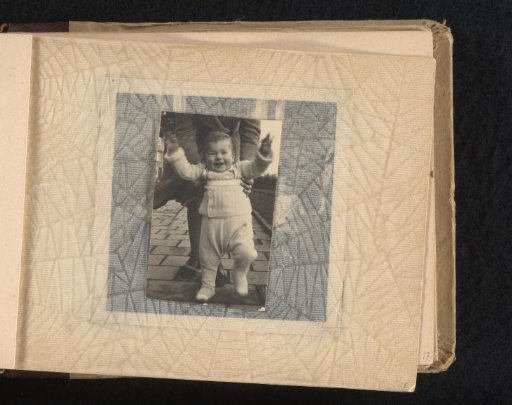 Norbert Peter van den Berg Learning to Walk on the Street as a Toddler
