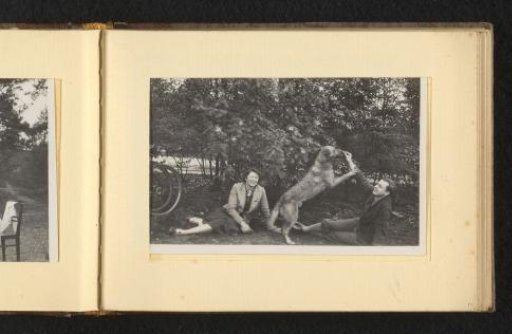 Woman and man sitting on the ground, playing with a dog