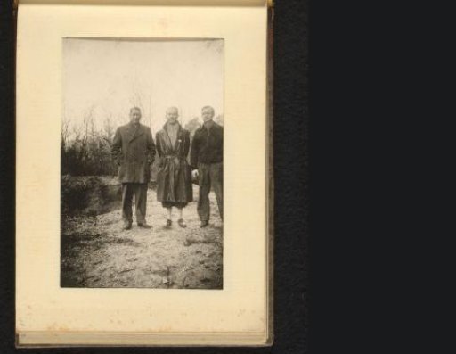 Three men in a forest