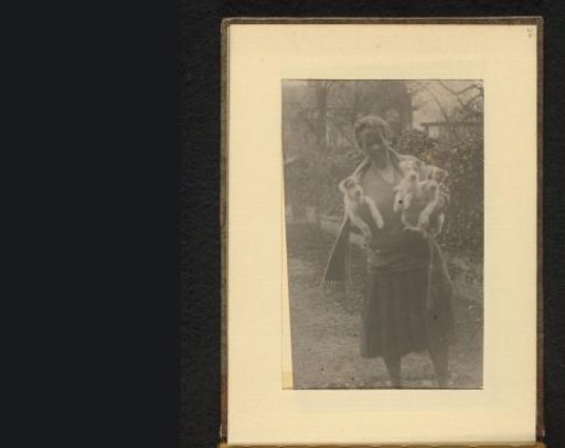 Woman with three dogs in her arms