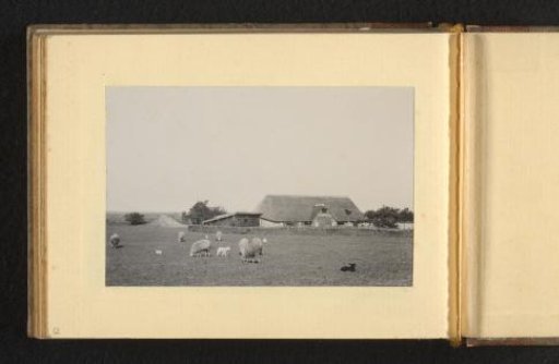View of a meadow with sheep and a farmhouse