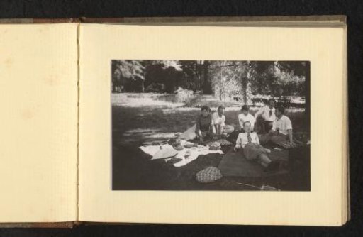 Three women, three men and a dog during a picnic in the grass