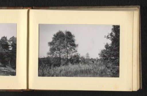 Two people in a meadow