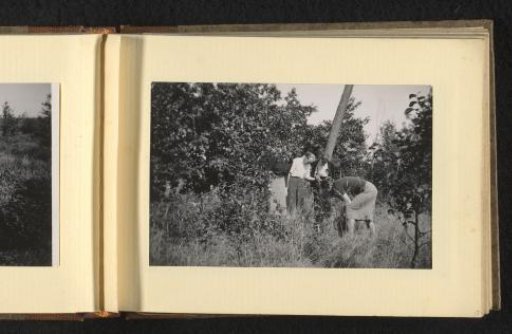 Three women and a man in shrubbery, looking at something on the ground