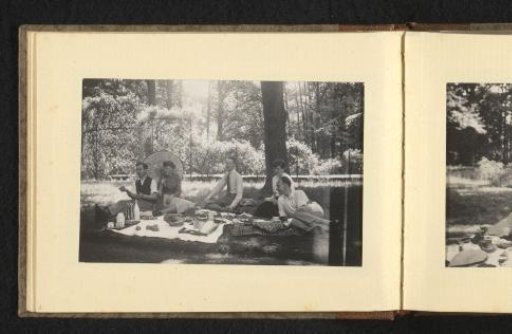 Two women, three men and a dog during a picnic in the grass, with parasol