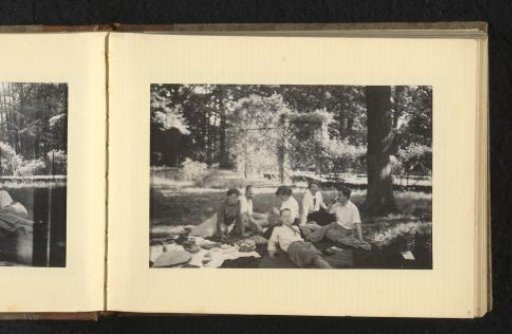 Two Women, Three Men, and a Dog Having a Picnic in the Grass