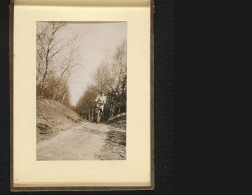 Woman riding a bicycle on a sandy road in a forest