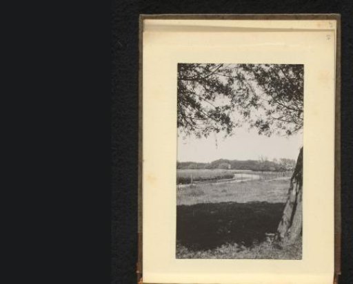 View of a meadow