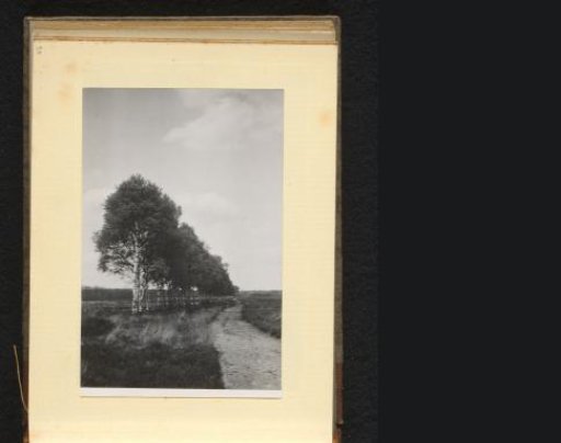 Sandy path in a landscape with trees