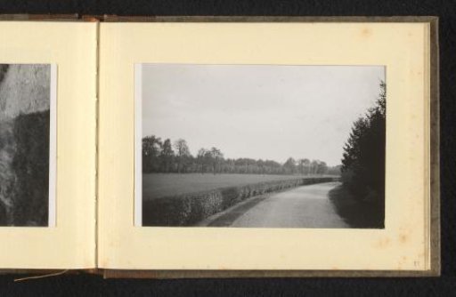 Road Along a Meadow