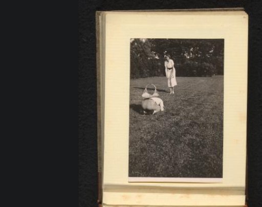 Man and woman in the grass, the man bent over with a basket on his back