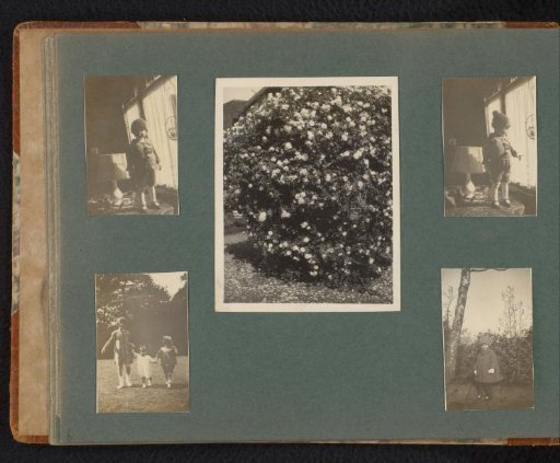 Five photographs of children of the Onnen-Van den Berg family and a blooming rose bush on the Kroonlaan in Hilversum