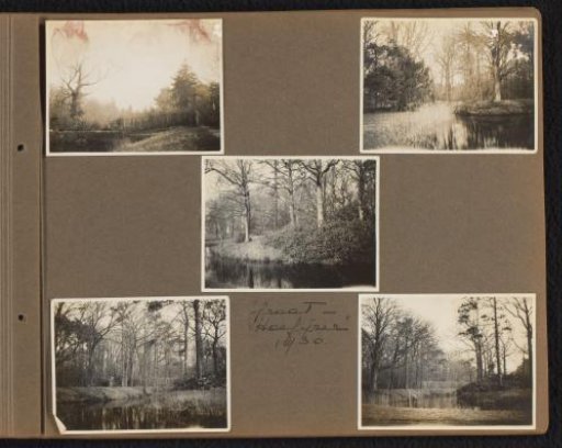 Five forest views
