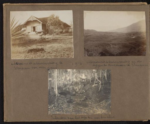 Three photographs of the administrators' residence at Wanasari and the harvest of cinchona bark
