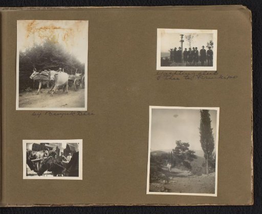 Four photographs of Istanbul and surroundings