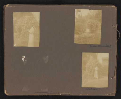 Three photographs of a woman among flowering bushes in the garden of Kroonlaan 1, Hilversum