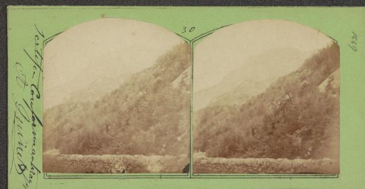 Mountain landscape covered with trees, with a wall in front