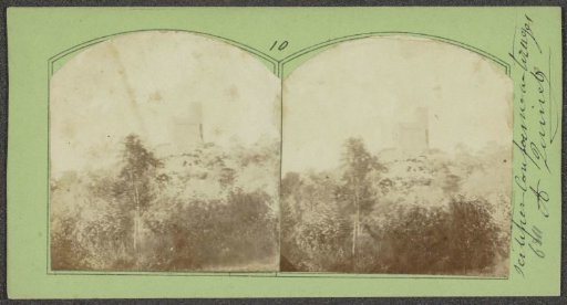 Woodland with a building in the background