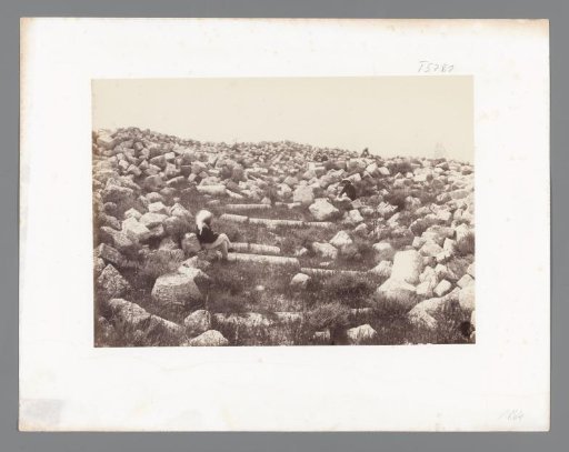 View of Mount Sinai