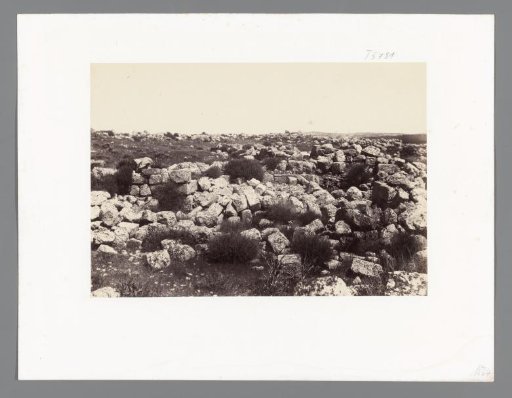 View of Mount Sinai