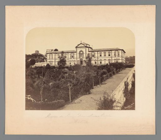 Hospicio da Princeza Dona Maria Amelia, Madeira, view from the garden towards the building