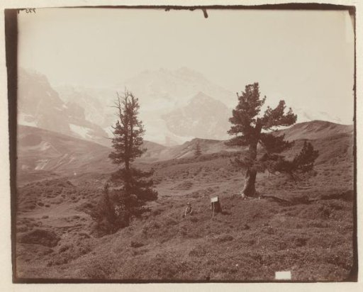 Unknown man in a meadow in a mountain landscape