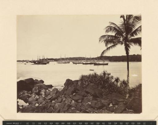 Harbour