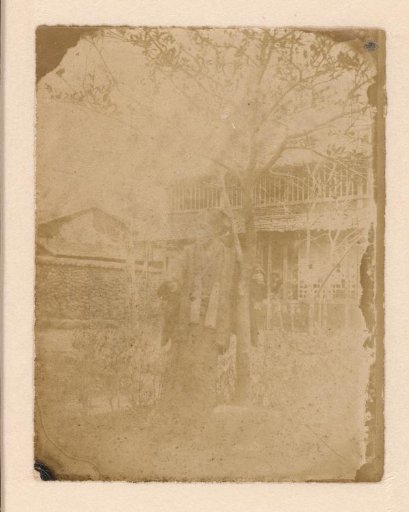 Japanese woman standing by a tree