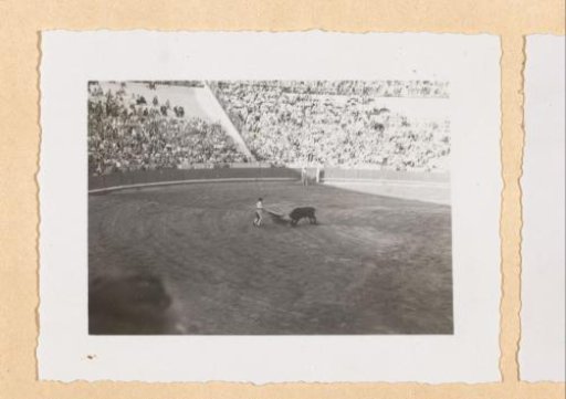 Toreador with the muleta fighting a bull, Barcelona