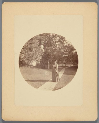 Rose on Cottage Lawn, Crosbyside 23 Sept 1889, USA
