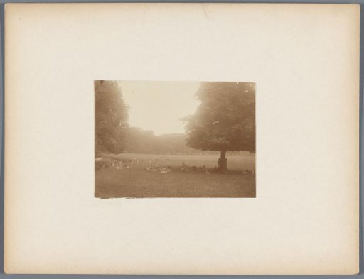 Deer enclosure